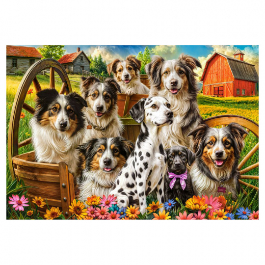 Castorland - Happy Dogs In The Countryside, 1000 pc i gruppen PUSLESPIL / Castorland hos Spelexperten (124025)