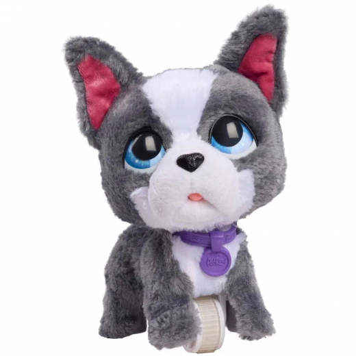 FurReal Walk-A-Lots - French Bulldog i gruppen LEGETØJ / Interaktivt legetøj hos Spelexperten (272-28161)