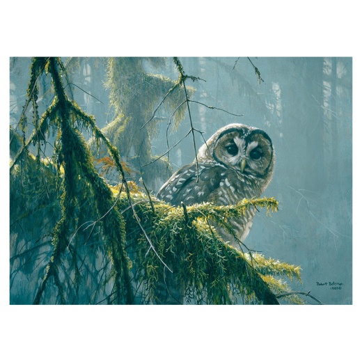 Cobble Hill Mossy Branches - Spotted Owl 500 brikker i gruppen  hos Spelexperten (CH85002)