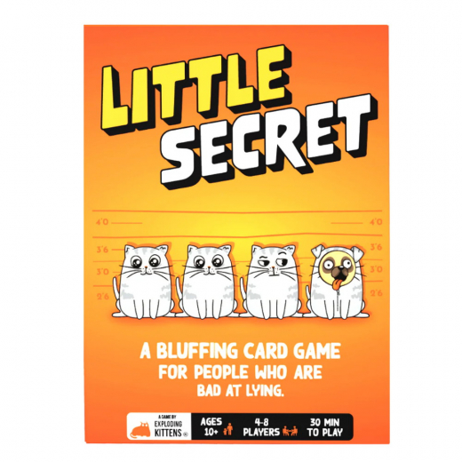 Little Secret i gruppen SELSKABSSPIL / Partyspil hos Spelexperten (EKGLISE4)