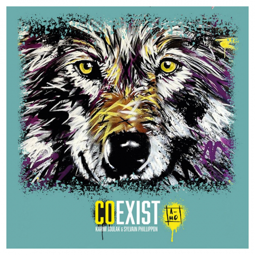 Coexist i gruppen SELSKABSSPIL / Kortspil hos Spelexperten (MGO1524)