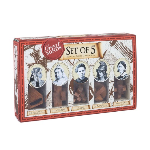 Great Minds: 5-pack Puzzles i gruppen SELSKABSSPIL / Hjernevridere hos Spelexperten (PP1528)