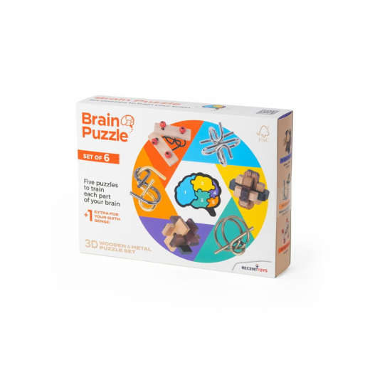 Brain Puzzle Set of 6 i gruppen SELSKABSSPIL / Hjernevridere hos Spelexperten (RT5144)