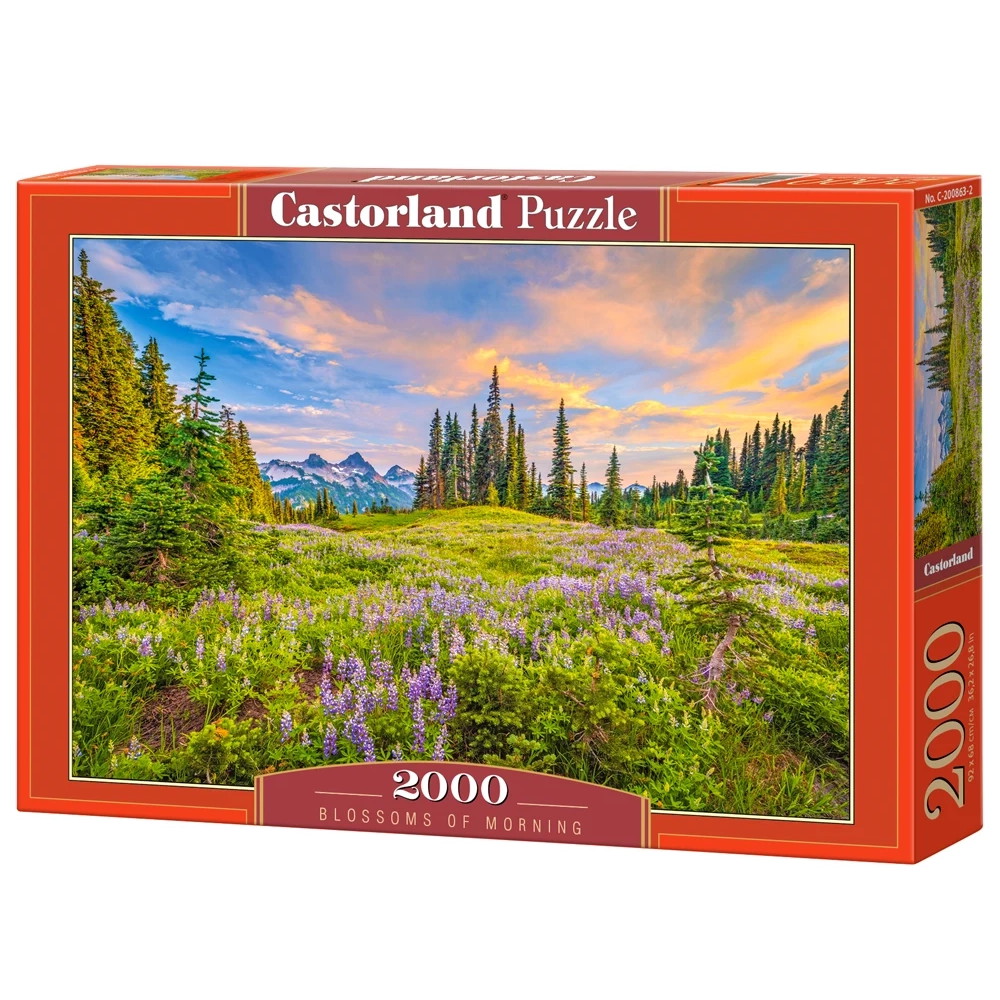 Castorland - Blossoms of Morning 2000 Brikker