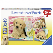 Ravensburger Cute Puppy Dogs 3x49 brikker