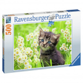 Ravensburger Kitten in the Meadow 500 Brikker