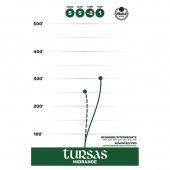 Westside Discs VIP Tursas Turquoise Westside Discs VIP Tursas Turquoise