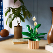 LEGO Botanicals - Fredslilje LEGO Botanicals - Fredslilje