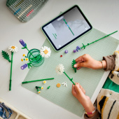 LEGO Botanicals - Margueritter LEGO Botanicals - Margueritter