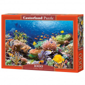 Castorland - Coral Reef Fishes 1000 Brikker