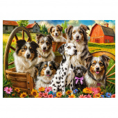 Castorland - Happy Dogs In The Countryside, 1000 pc Castorland - Happy Dogs In The Countryside, 1000 pc