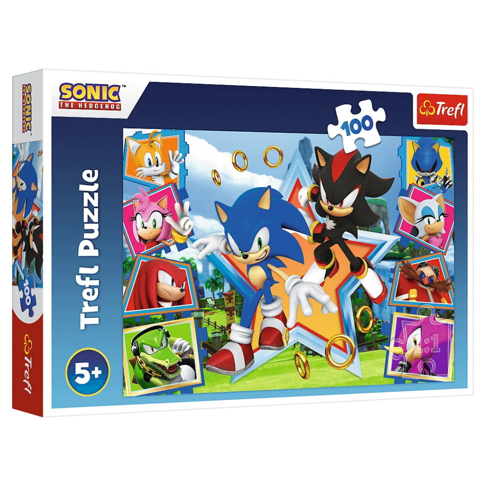 Trefl Meet Sonic 100 Brikker