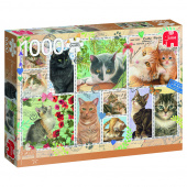 Jumbo Cat stamps 1000 brikker