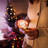 Pærefiktion, julemand Pærefiktion, julemand