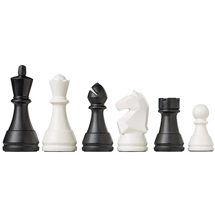 DGT Pegasus Electronic Chess Board