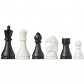 DGT Pegasus Electronic Chess Board DGT Pegasus Electronic Chess Board