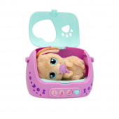 Baby Paws Just Born Puppy Baby Paws Just Born Puppy