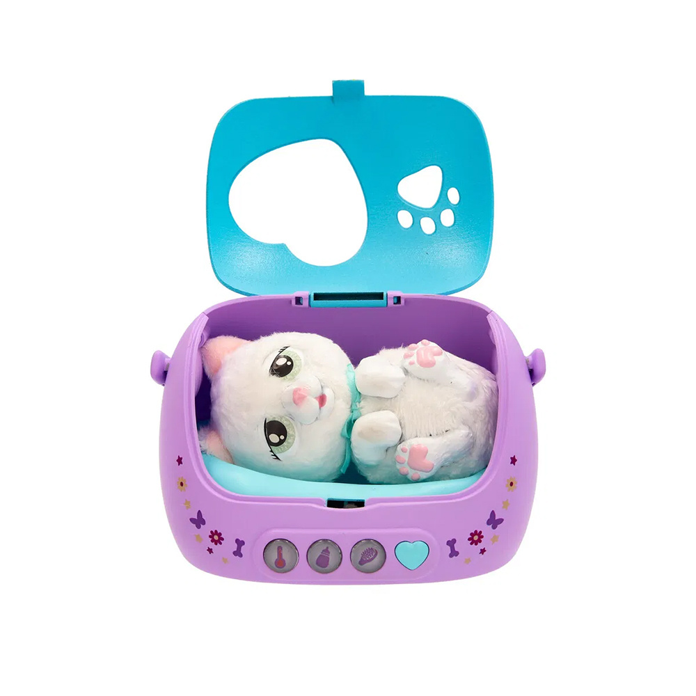 Baby Paws Just Born Cat