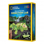 National Geographic - Gecko Dissection Lab National Geographic - Gecko Dissection Lab