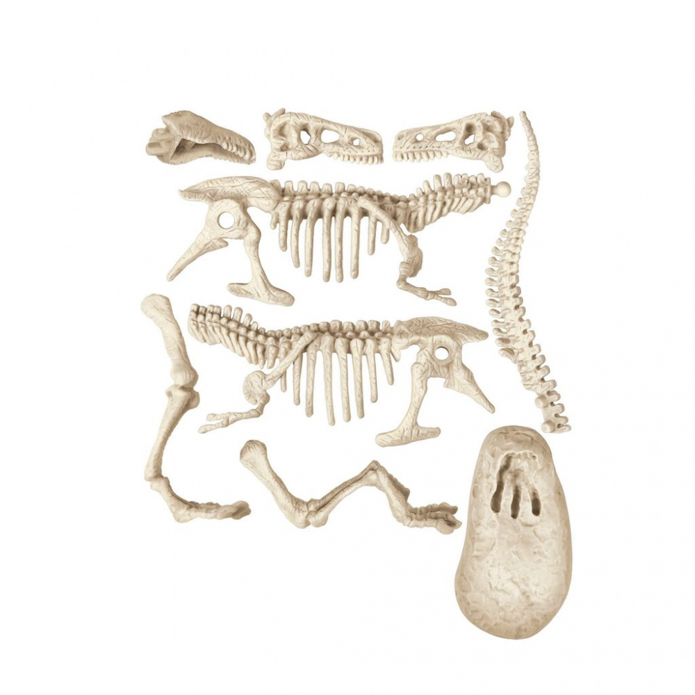 Archeofun - Tyrannosaurus Rex