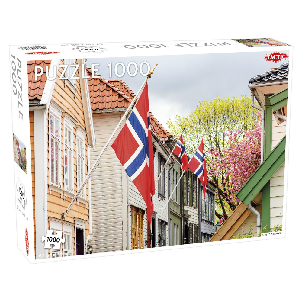 Tactic: Street in Bergen 1000 Brikker