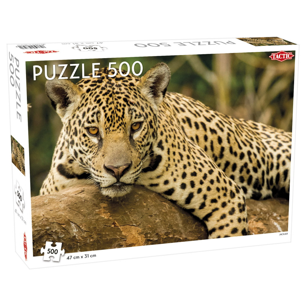 Tactic: Jaguar 500 brikker