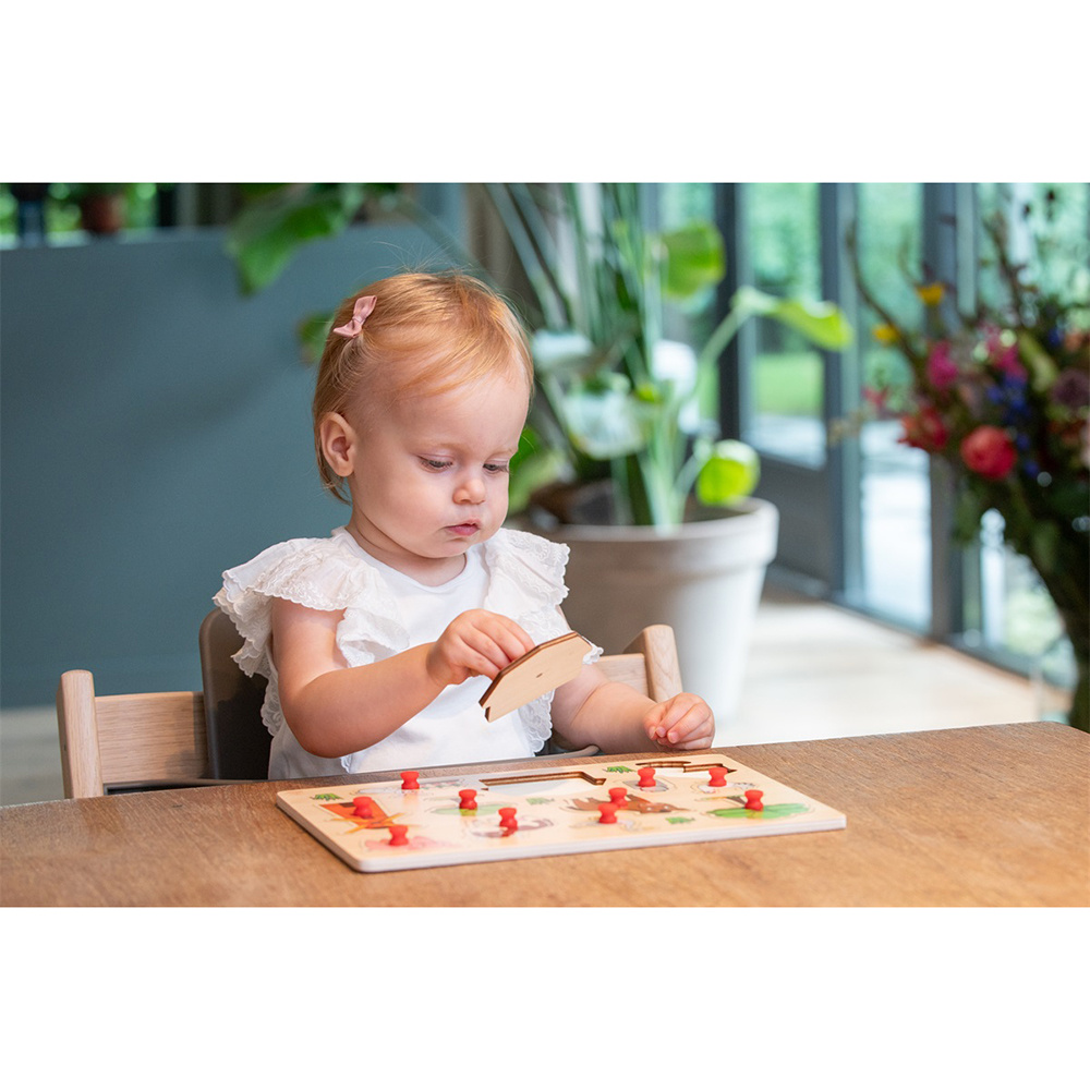 Engelhart Education knoppuslespil stuehus