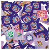 Paw Patrol Movie 2 Memo Paw Patrol Movie 2 Memo