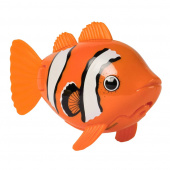 Rainbow Reef Fish Klovne fisk Rainbow Reef Fish Klovne fisk