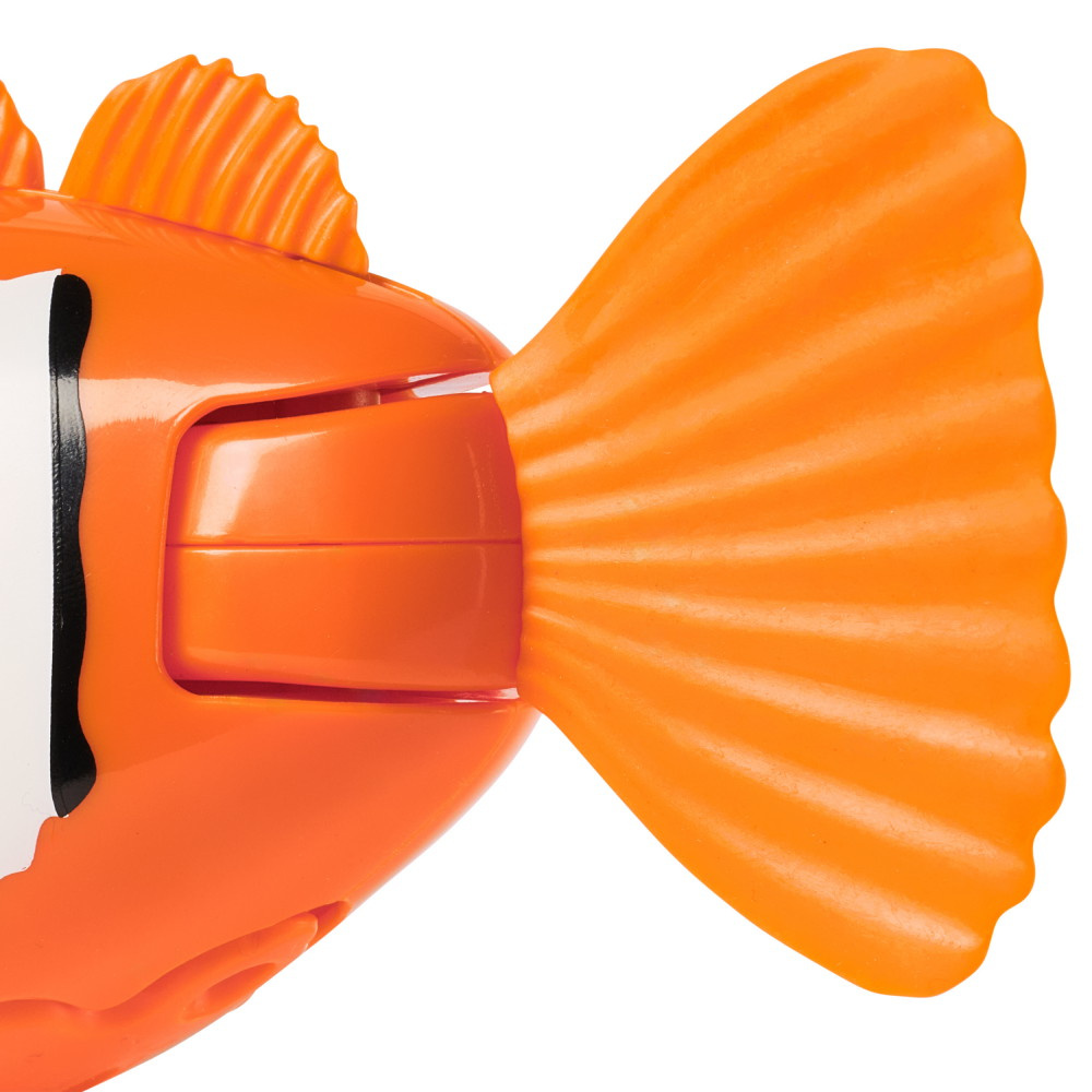 Rainbow Reef Fish Klovne fisk