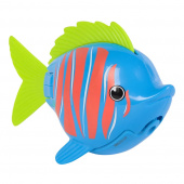 Rainbow Reef Fish Guppie Goldberg Rainbow Reef Fish Guppie Goldberg