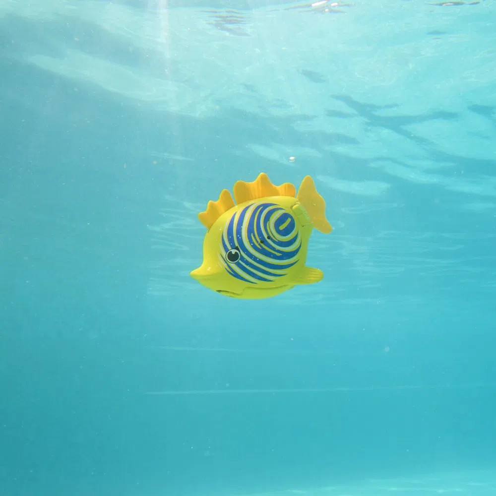 Rainbow Reef Fish Lebron Waves