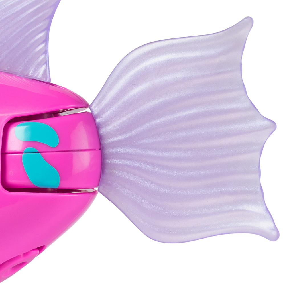 Rainbow Reef Fish Tuna Turner