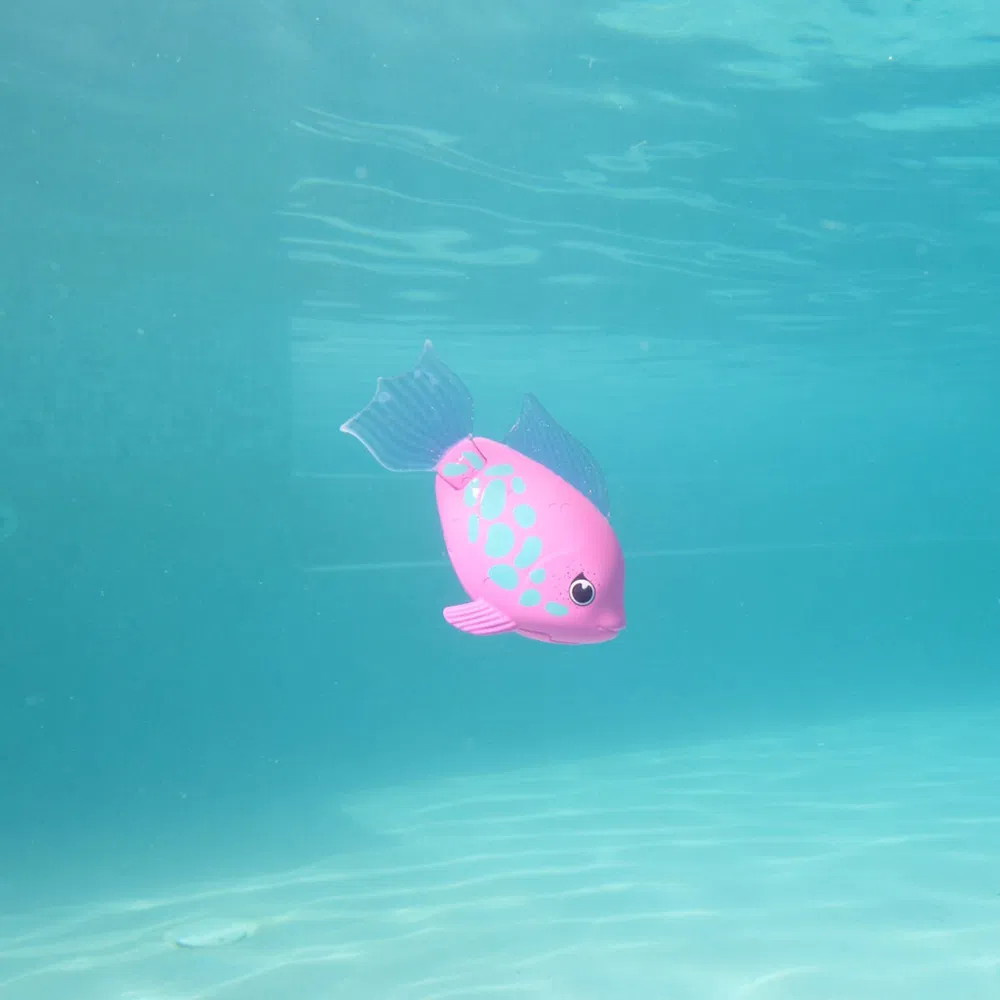 Rainbow Reef Fish Tuna Turner