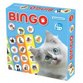 Bingo Katte
