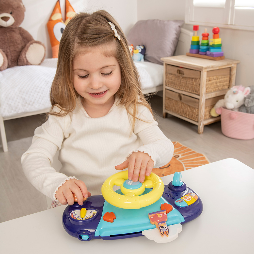 Bluey Driver Dashboard