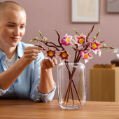 LEGO Botanicals - Magnoliagrene LEGO Botanicals - Magnoliagrene