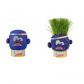 Hape Plant Pals Hape Plant Pals