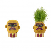 Hape Plant Pals Hape Plant Pals