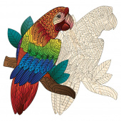 Artefakt Wooden Puzzle - Parrot 172 Brikker