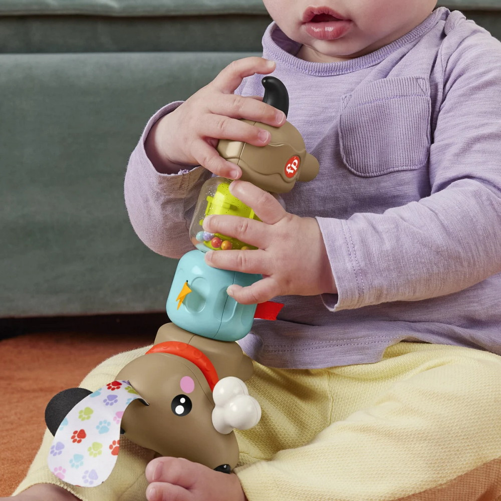 Fisher Price Click & Spin Activity Pup