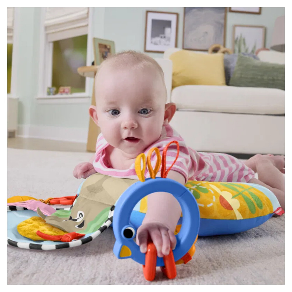 Fisher Price Tummy Wedge Sensory Adventure