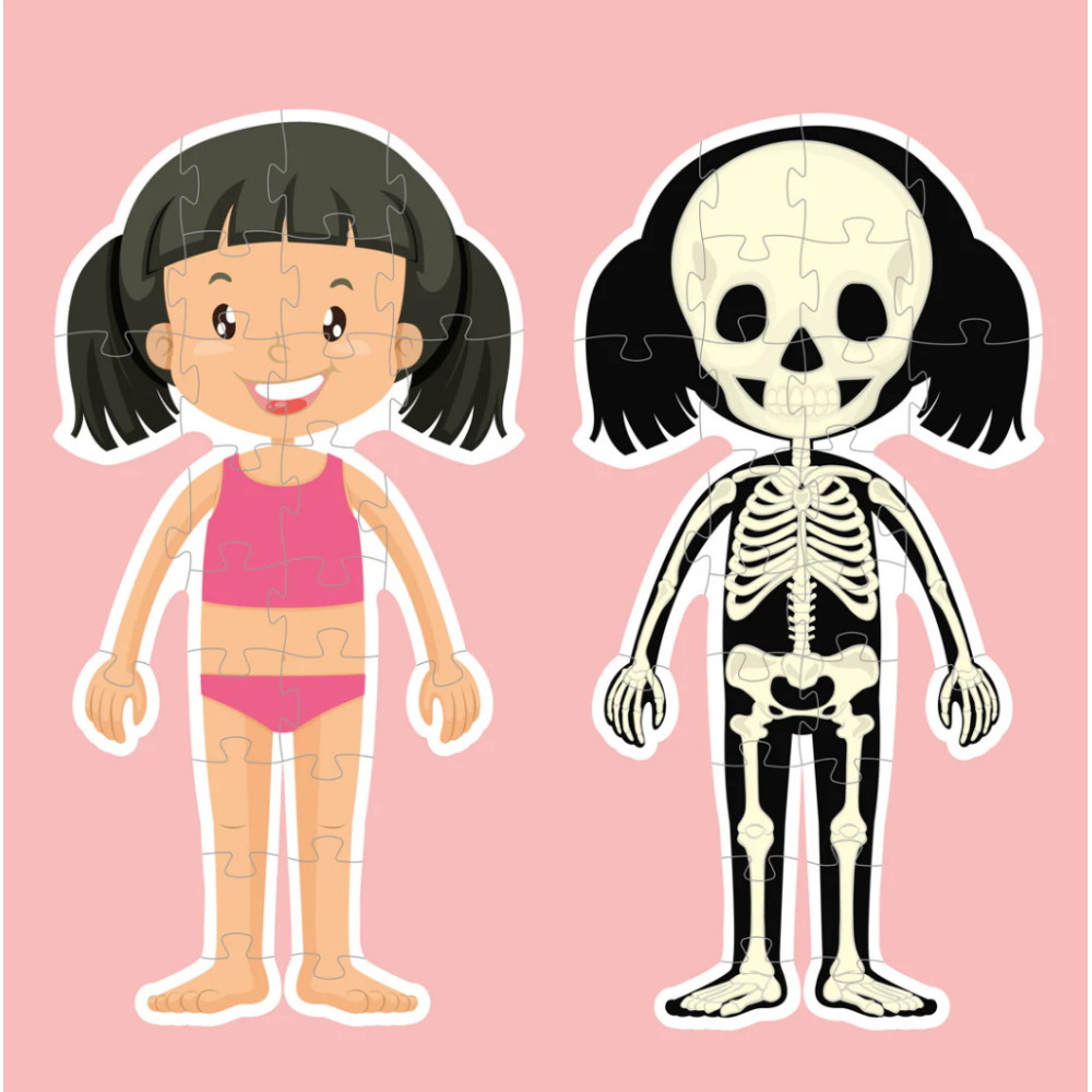 Kropspuslespil Pige 36 Brikker