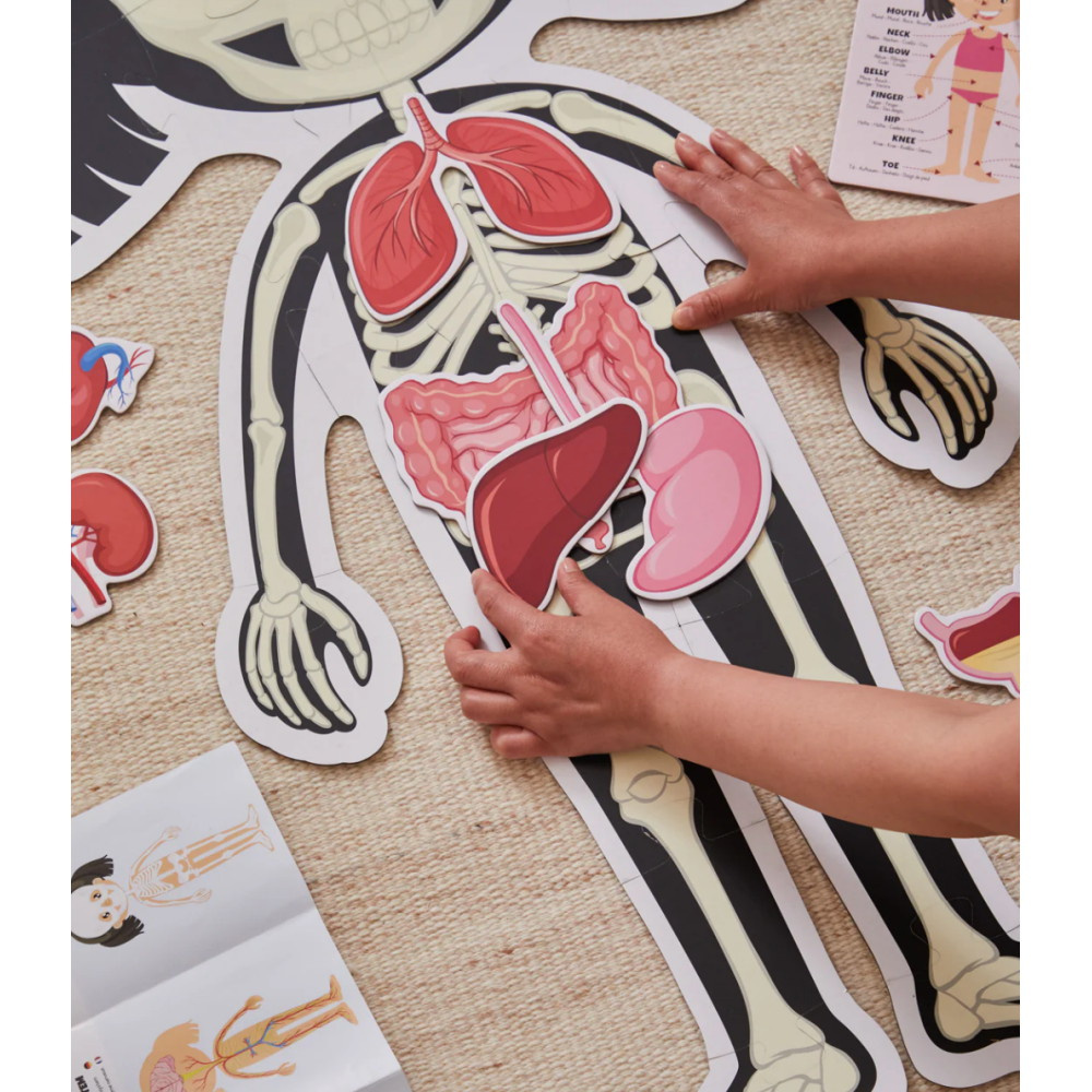 Kropspuslespil Pige 36 Brikker