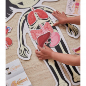 Kropspuslespil Pige 36 Brikker Kropspuslespil Pige 36 Brikker