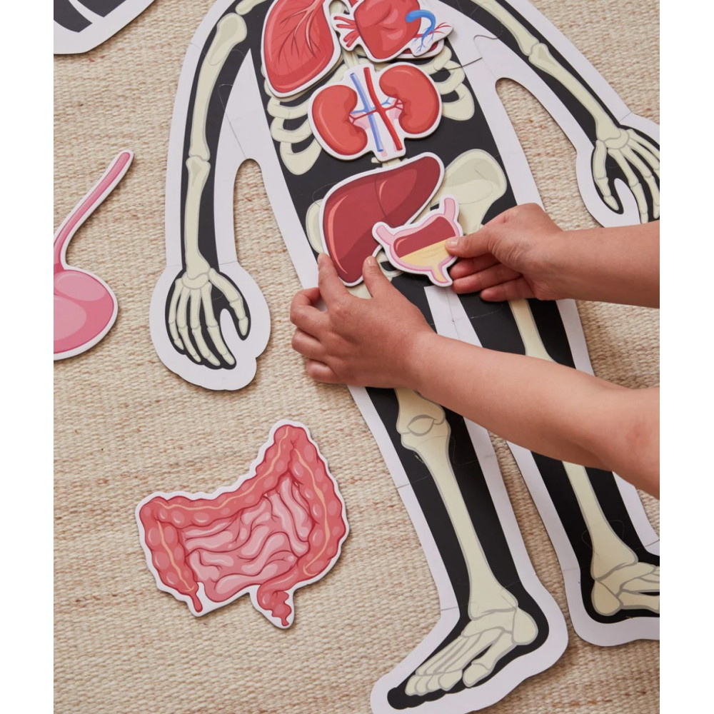 Kropspuslespil dreng 36 Brikker