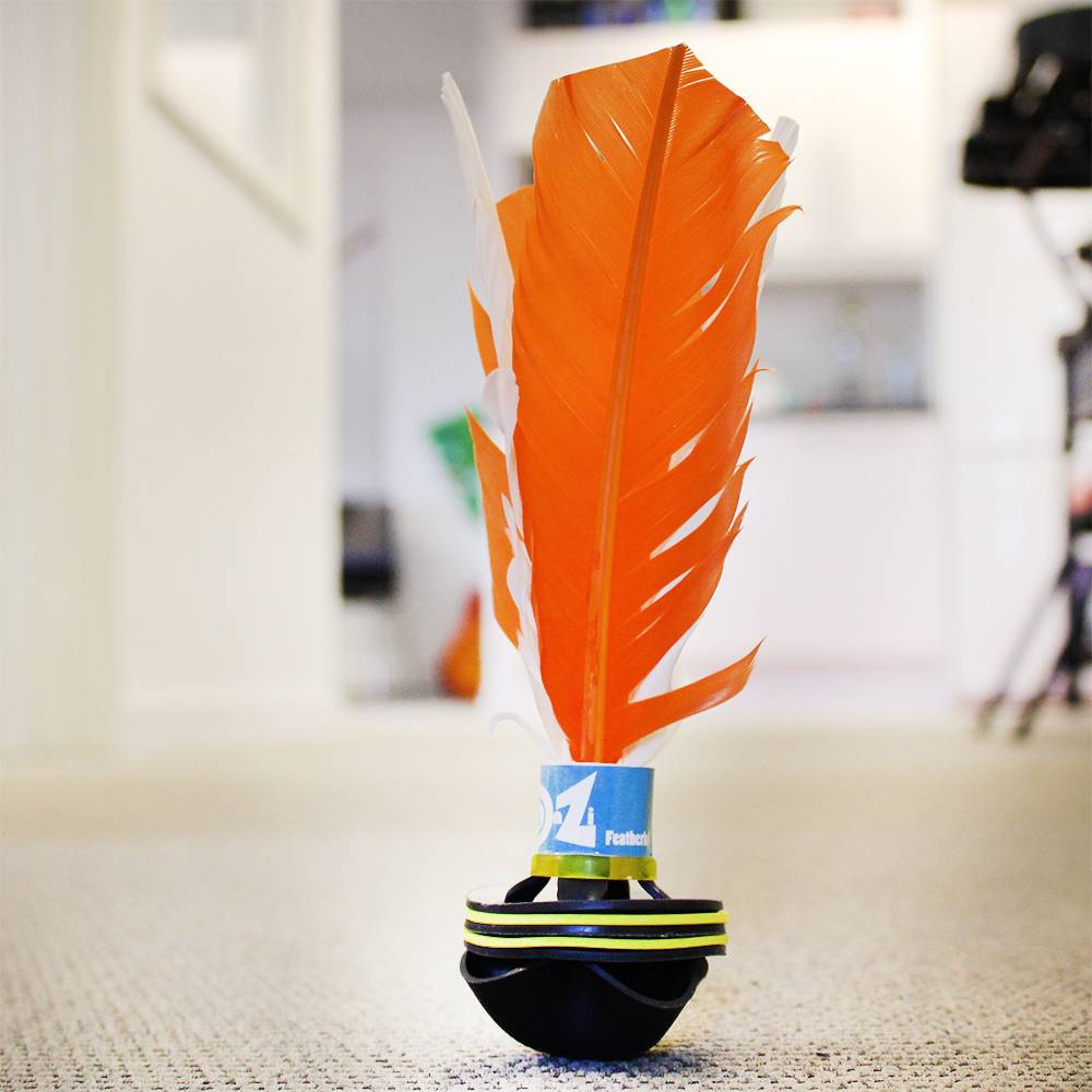 Banzi - The Featherball