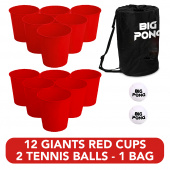 Big Pong