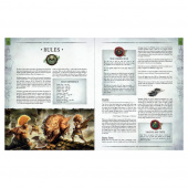 Warhammer Fantasy Roleplay: Rulebook