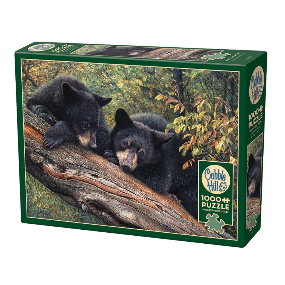 Cobble Hill Mom's Awaiting 1000 Brikker